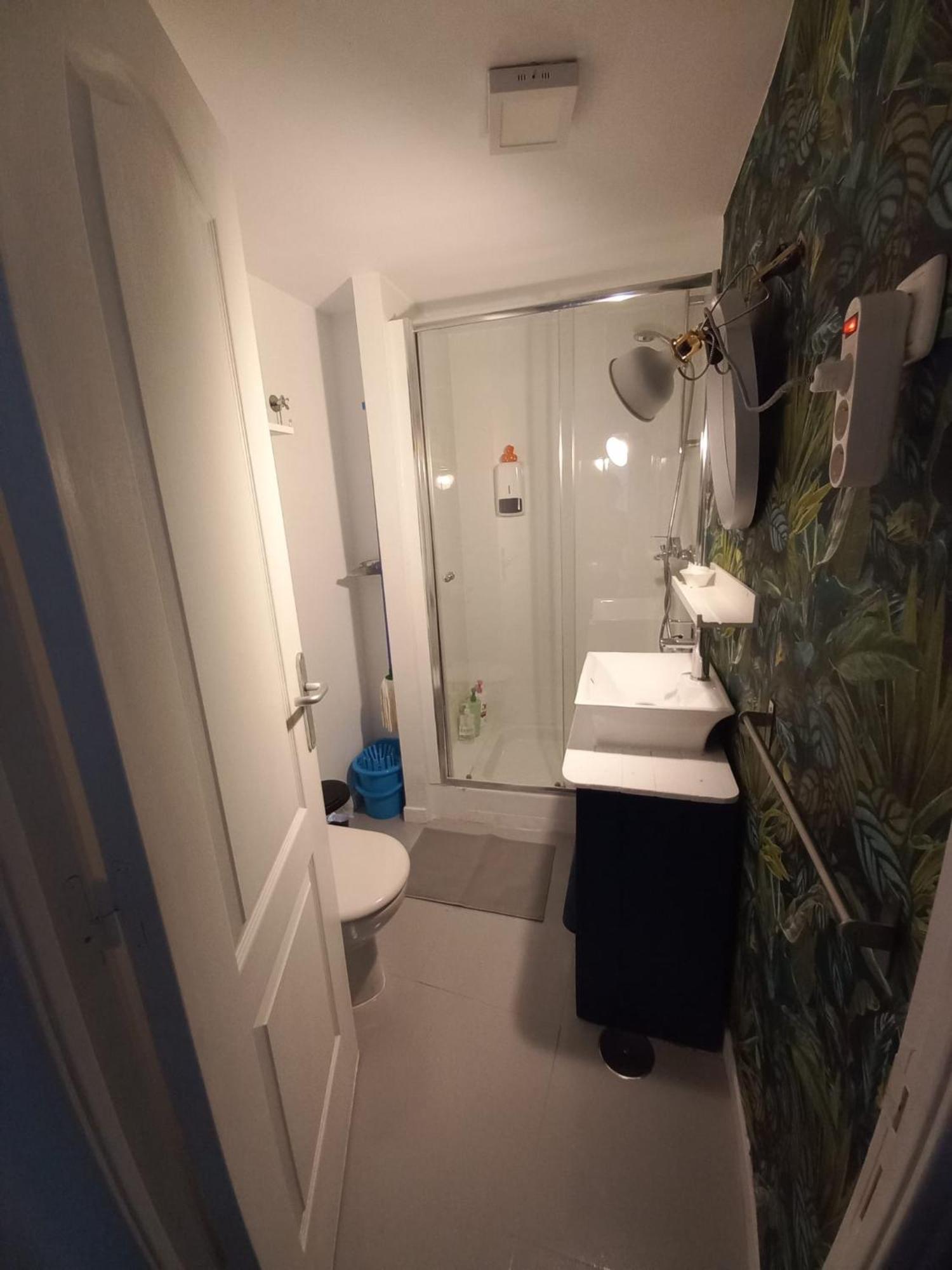 La Gitana Y El Rey Sol Apartment Малага Екстериор снимка